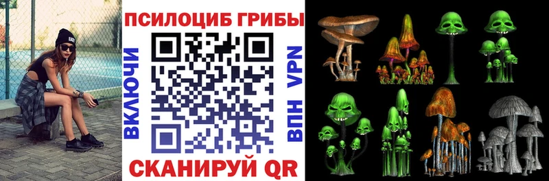 Купить где Кохма Псилоцибиновые грибы ЛСД